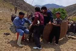  واکسیناسیون 70 درصد جمعیت دام سبک شهرستان درگز علیه بیماری پی پی آر 